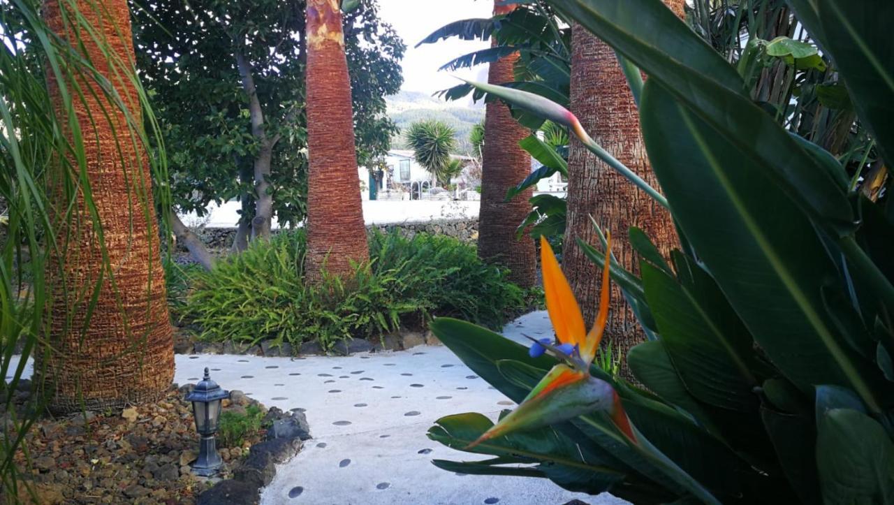 Finca Primavera เอลปาโซ ภายนอก รูปภาพ
