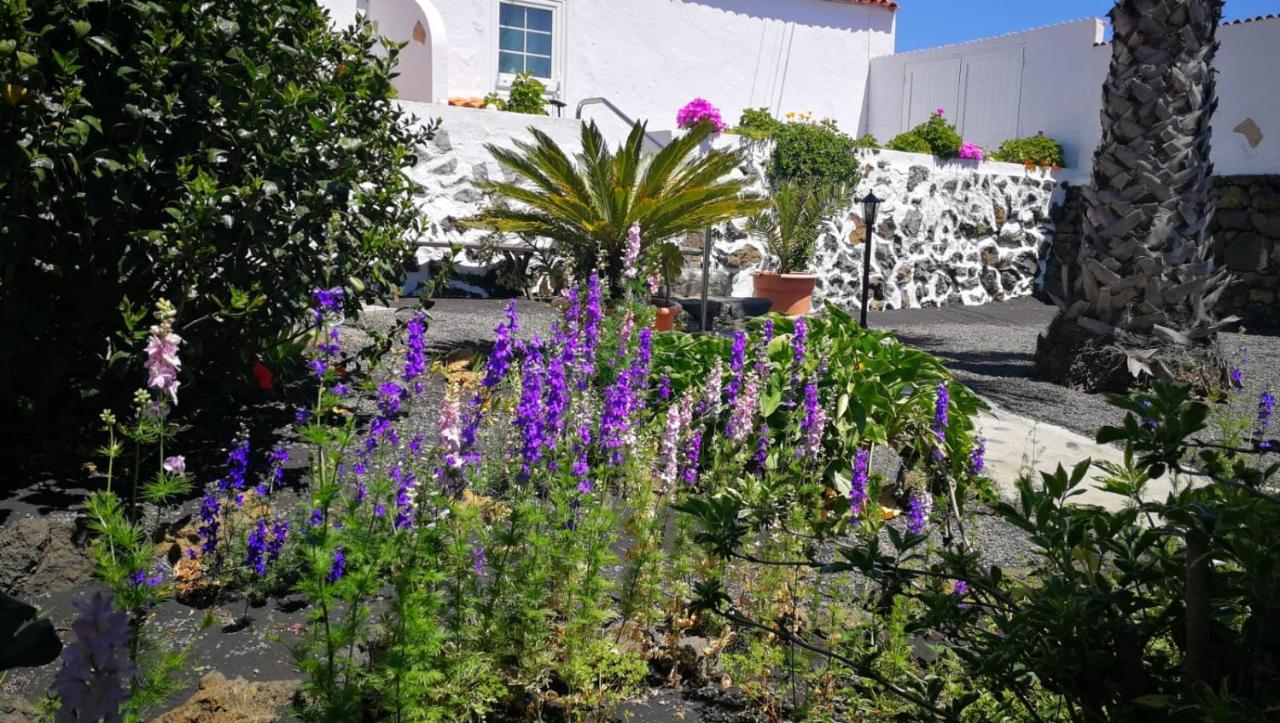 Finca Primavera เอลปาโซ ภายนอก รูปภาพ
