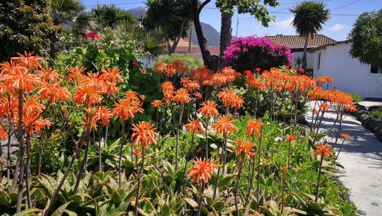 Finca Primavera เอลปาโซ ภายนอก รูปภาพ