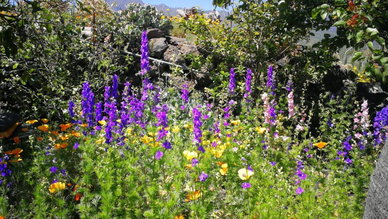 Finca Primavera เอลปาโซ ภายนอก รูปภาพ