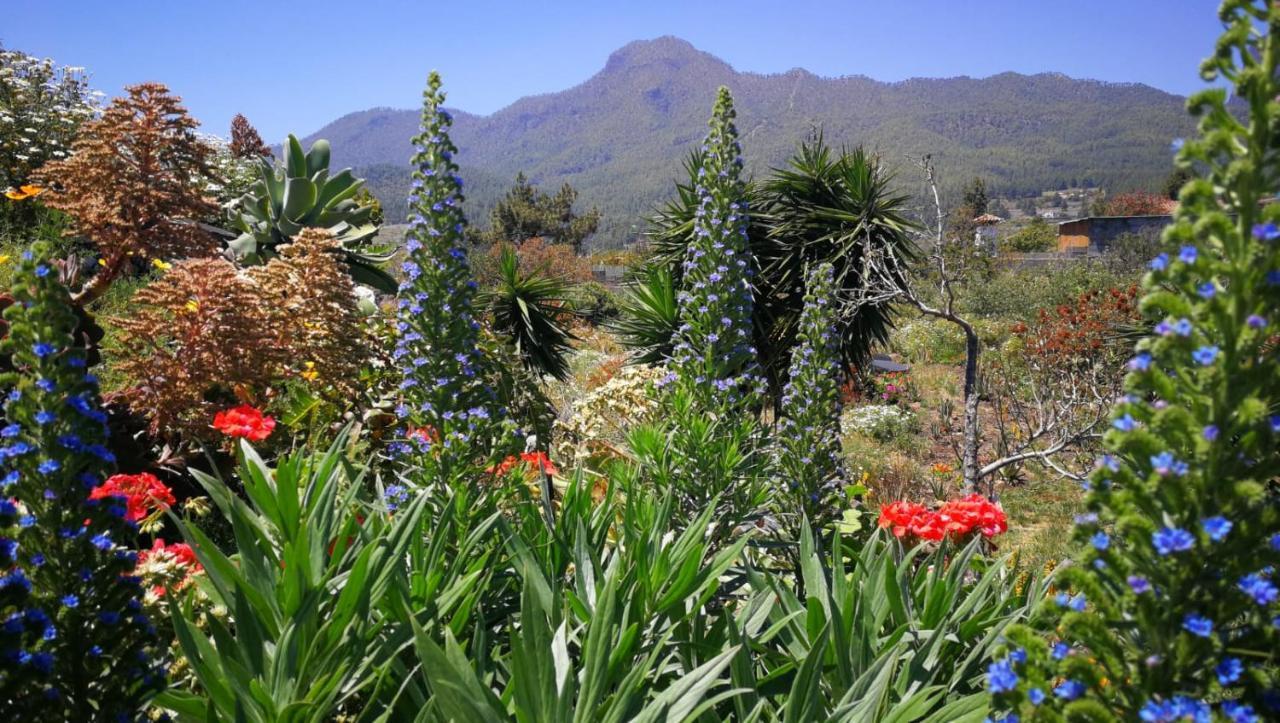 Finca Primavera เอลปาโซ ภายนอก รูปภาพ
